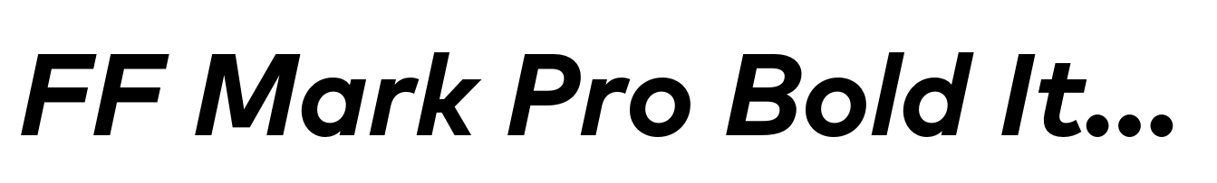 FF Mark Pro Bold Italic
